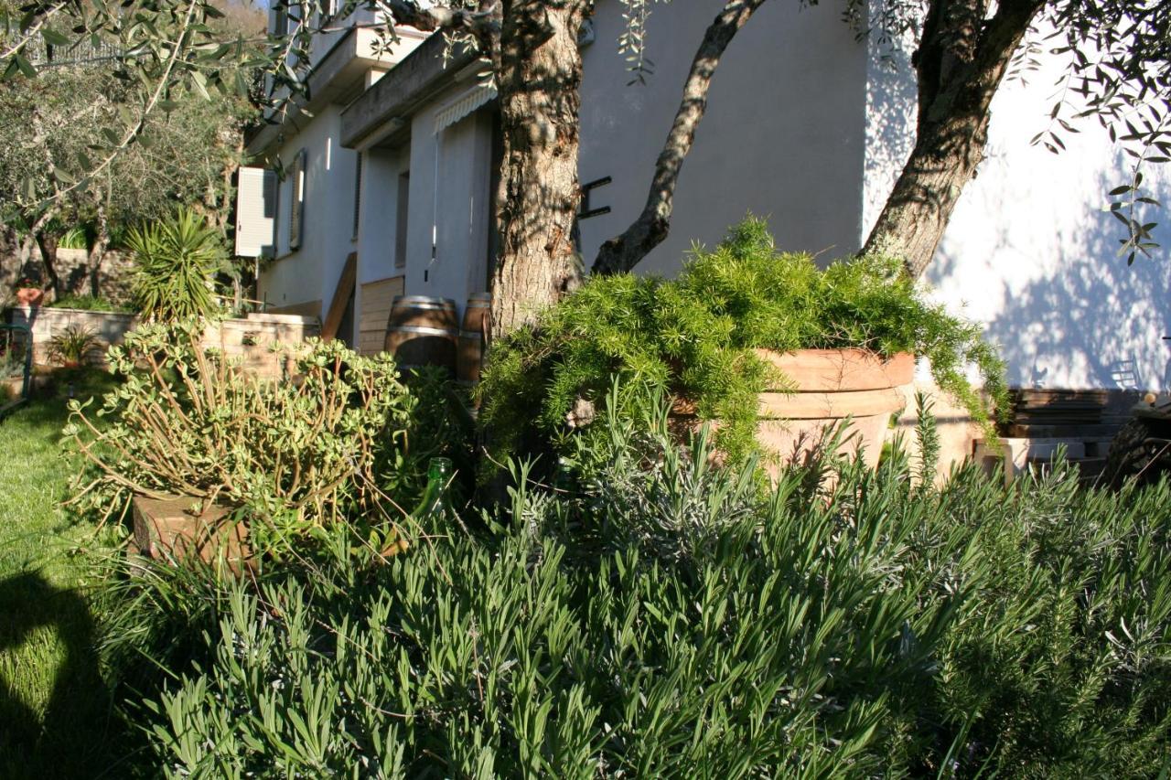 La Taverna Di Sophie Serre Di Rapolano Exterior foto